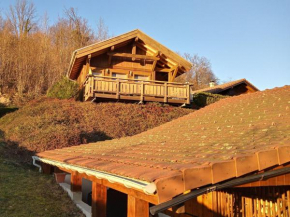 Chalet in lovely rich forest setting with a beautiful view